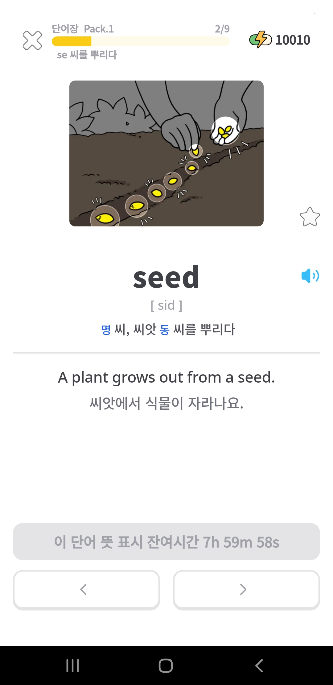 sow 단어 학습 화면